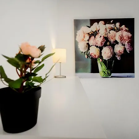 Apartamento Nordic Central